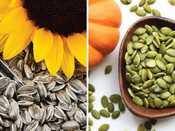 कौन से बीज बेहतर है?