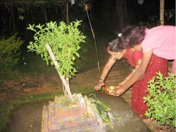 तुलसी के पौधे के पास दिया जलाएं