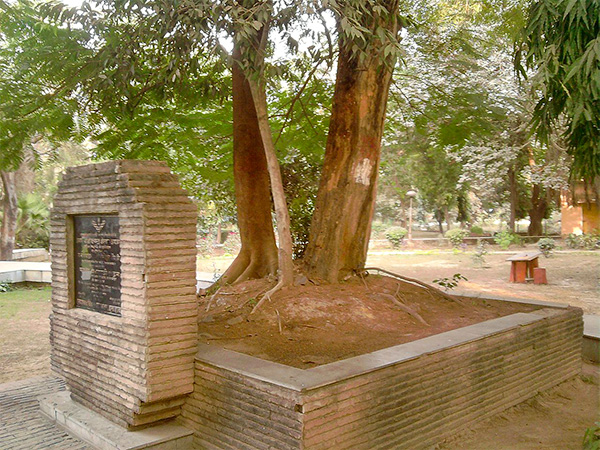 ब्र‍िटिश सरकार ने कटवा दिया पेड़