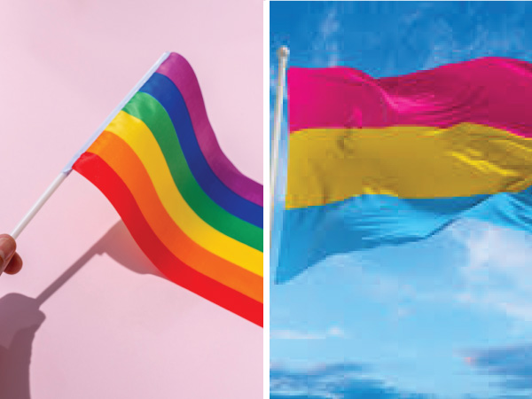 पैनसेक्सुअल और LGBTQ कम्‍युन‍िटी के झंडे में अंतर
