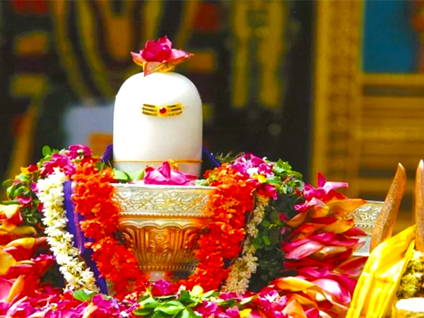 सावन में भगवान शिव को प्रसन्न करने के उपाय -