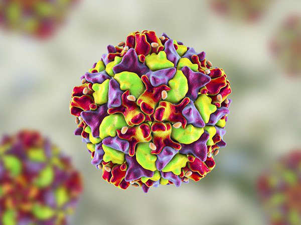 अधिकारियों ने की पुष्टि