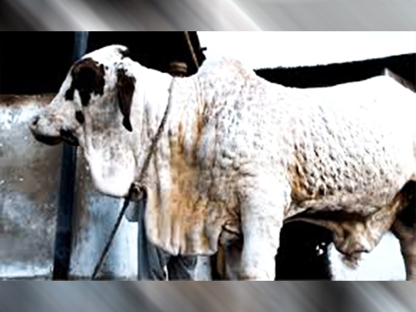 कैसे फैलती है ये बीमारी कैसे फैलती है ये बीमारी