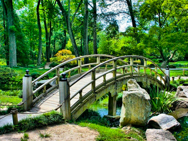 सी-विड का गार्डेनिंग में उपयोग