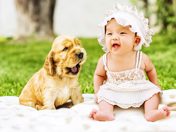 3.आरईएम स्लीप साइकिल