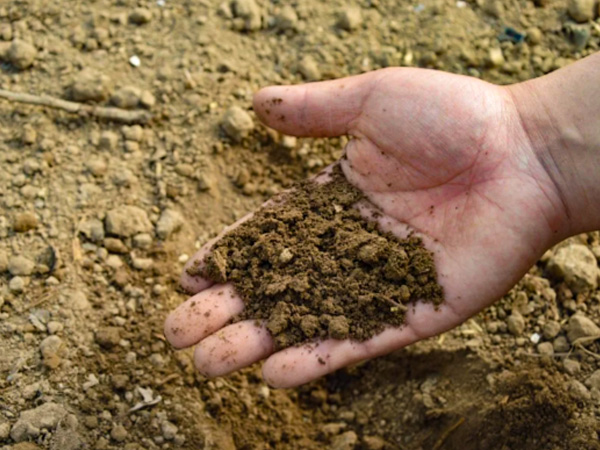 1: न्यूटीशंस से भरपूर