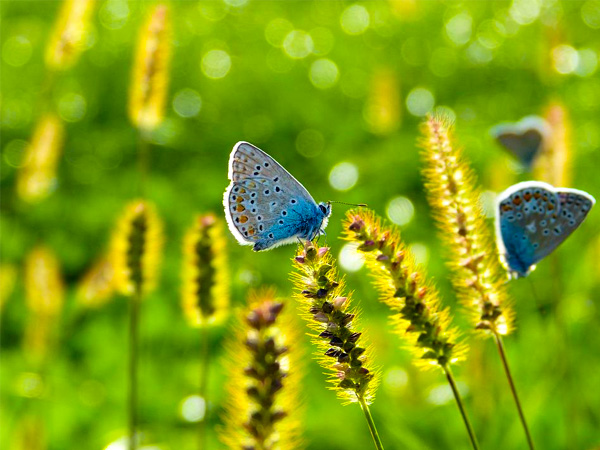 2: आसानी से सोख लिया जाता है