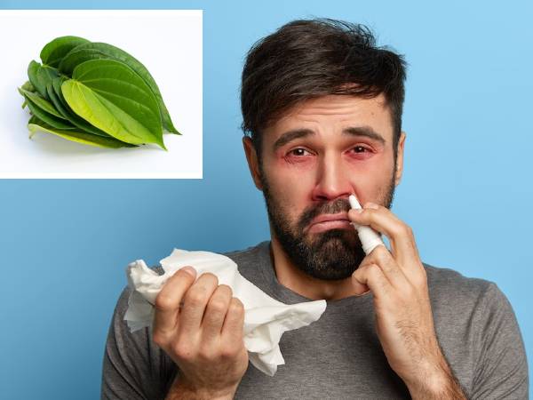 1. पान के पत्ते से एलर्जी 