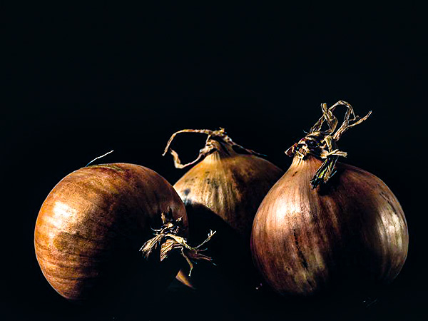 निष्कर्ष