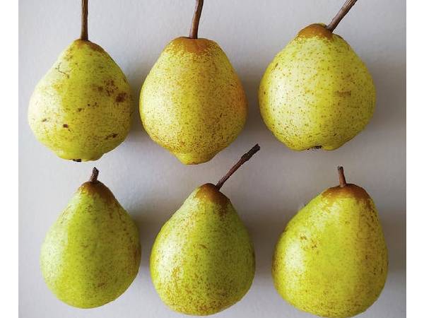 डायबिटीज में मिलेगा फायदा