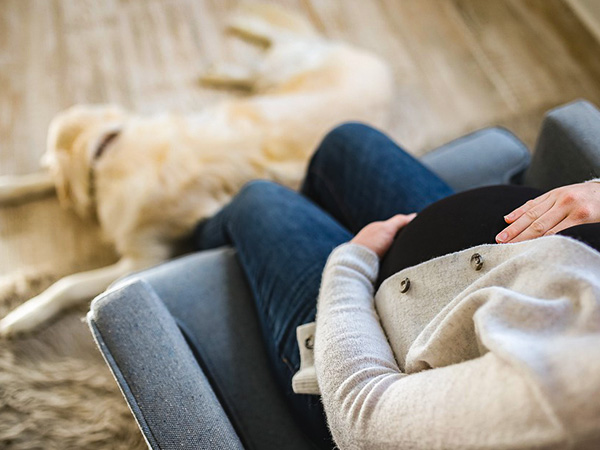 अगर गर्भावस्था में हैं पाचन संबंधी समस्याएं