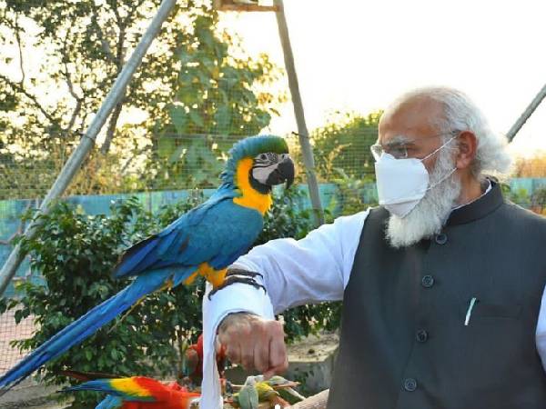 4. आयुर्वेद पर भरोसा