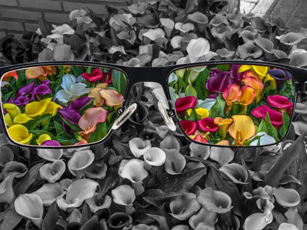 कौन सी बीमारी या चोट कलर ब्लाइंडनेस का कारण बन सकते हैं?