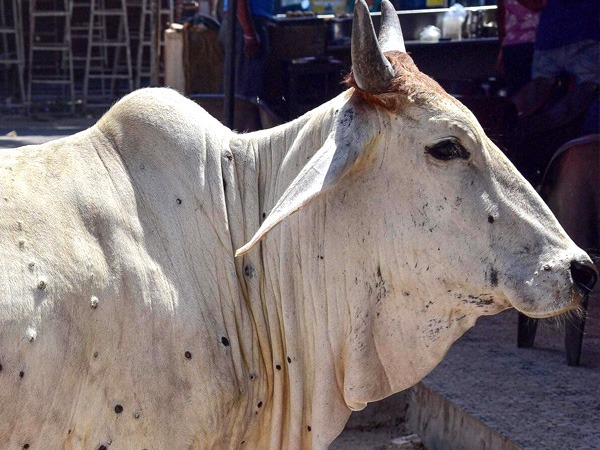 इसके क्या कारण हैं?