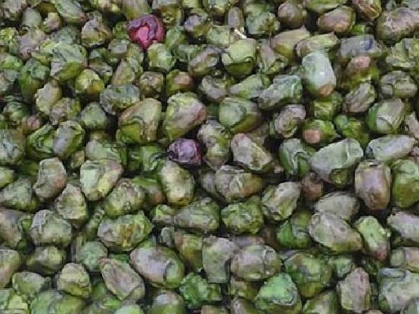 सिंघाड़ा