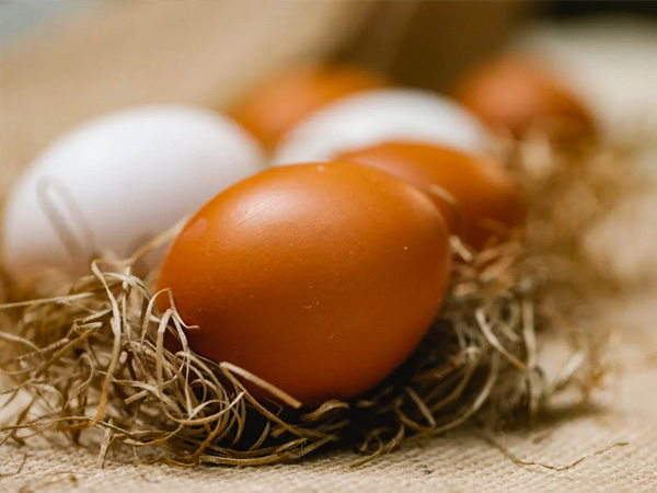 खा सकते हैं ये चीजें