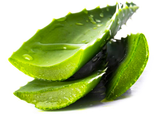 एलोवेरा