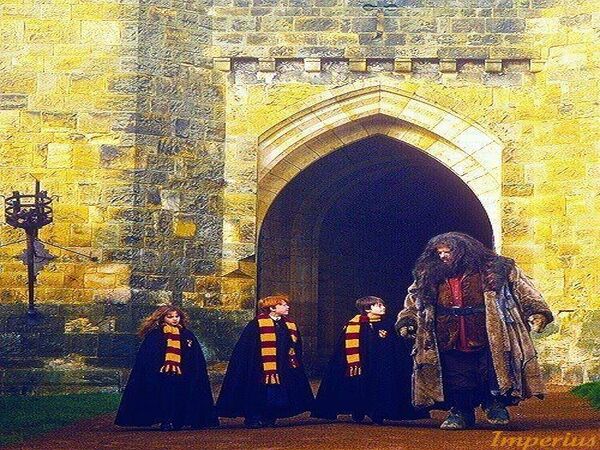 hagrid actor harry potter