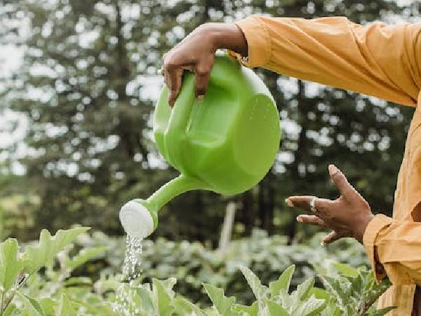 2: लाइफस्टाइल में सुधार