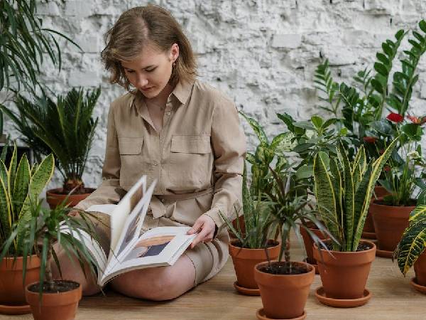 4. इम्यून सिस्टम को बढ़ाता है