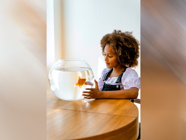 2. पैसे और सफलता के लिए फेंग शुई आइटम: एक मछली एक्वेरियम