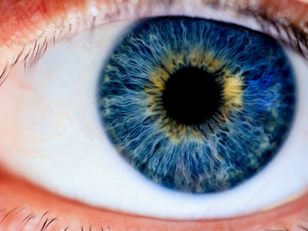 एक्सपर्ट के अनुसार, जहां लोग धीरे-धीरे कॉन्टैक्ट लेंस को एक ऑप्शन के रूप में मानने लगे हैं, वहीं कई मिथक और गलतफहमियां भी हैं।