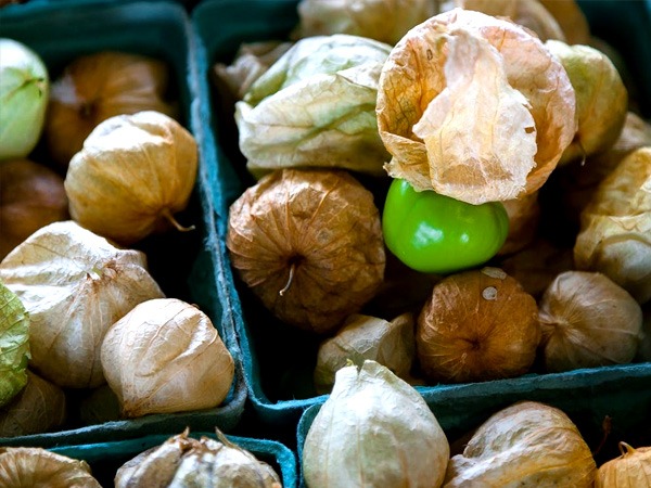 खुबानी (खुमानी)