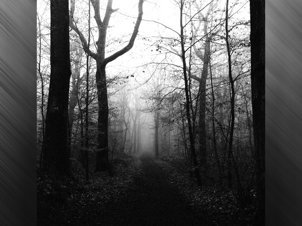 होइया-बासीयू फॉरेस्ट, रोमानिया