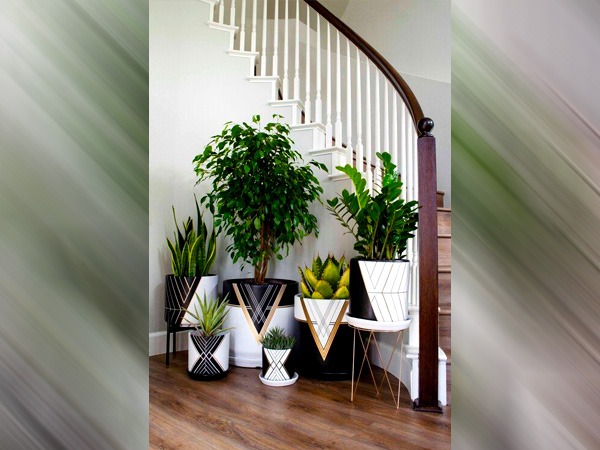 गुरपुरब सजावट के लिए डिजाइनर क्ले पॉट्स