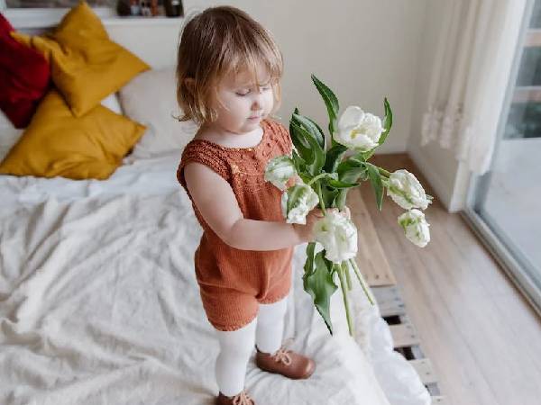 सिम्पल और फज-फ्री सिम्पल और फज-फ्री