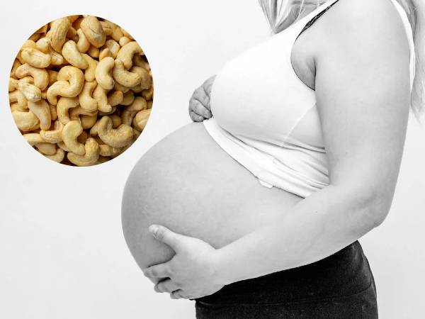 cashew for pregnant women cashew for pregnant women