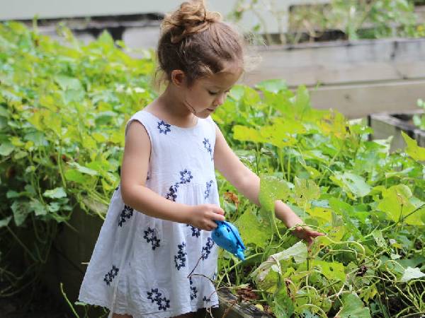 सफलता पाने के लिए रखें धैर्य