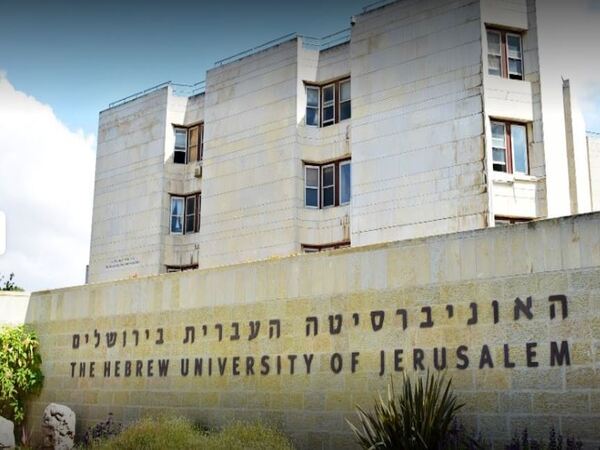 दो तरह के ब्रिसल्स 