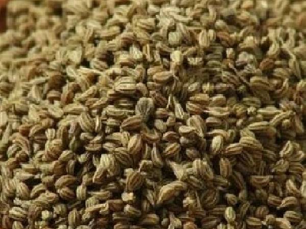 अजवाइन का पानी का करवाएं सेवन