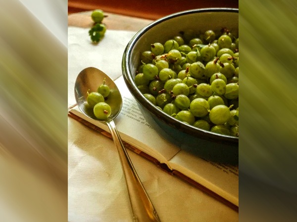 सर्दियों में आंवला खाने के 5 अविश्वसनीय स्वास्थ्य लाभ