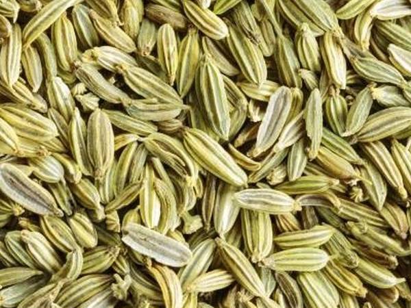 8. सौंफ