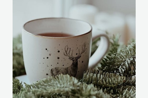 पाइन नीडल टी कैसे बनाएं