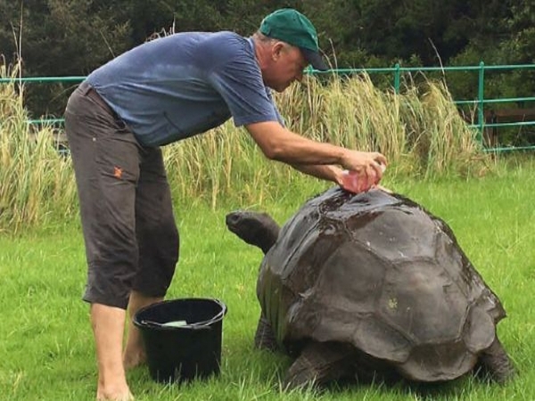 सेंट हेलेना का गवर्नर हाउस, जोनाथन का घर सेंट हेलेना का गवर्नर हाउस, जोनाथन का घर