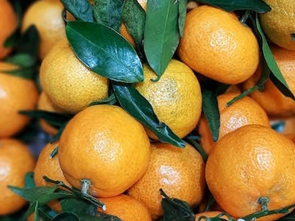 आपके शरीर को पोटेशियम की जरूरत क्यों ?