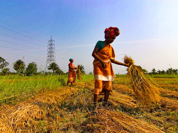 चौधरी चरण सिंह के देश के किसानों के लिए मुख्य योगदान-