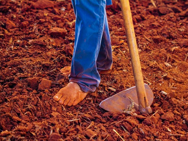 प्रधान मंत्री चौधरी चरण सिंह के बारें में और उनके काम