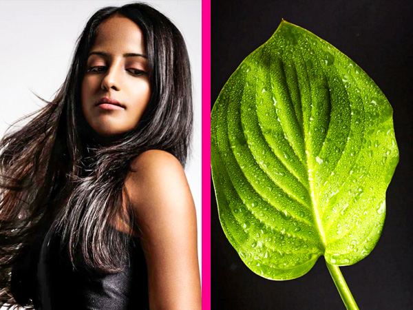 पान हेयर मास्क लगाने के फायदे