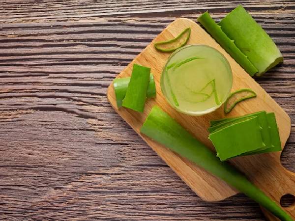 एलोवेरा भी है फायदेमंद