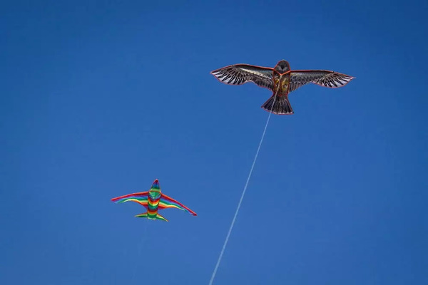 पतंगों ने ही बिजली के अविष्कार का आइडिया दिया