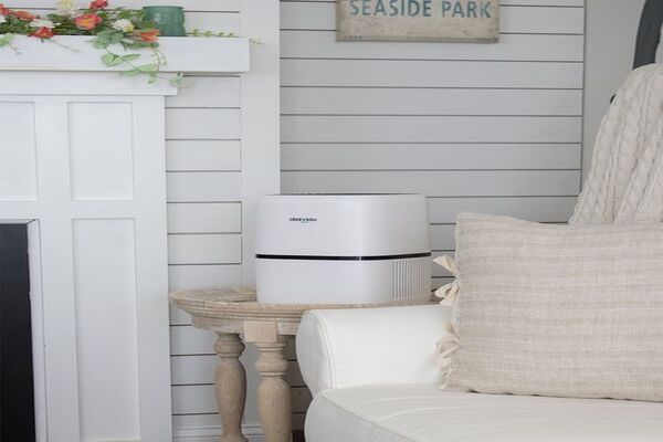 एयर प्यूरीफायर का यूज करें