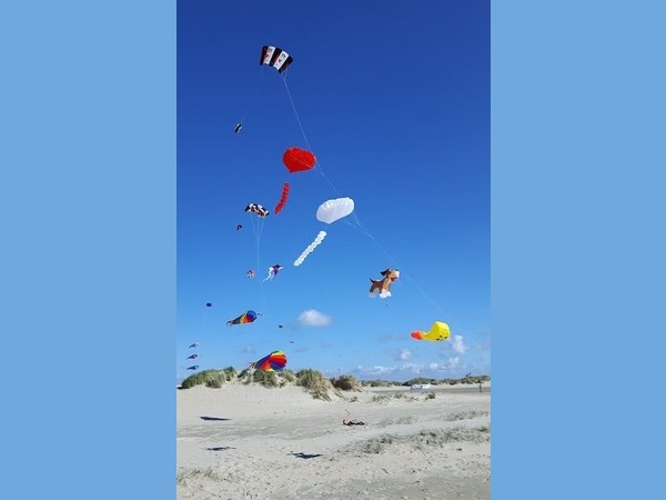 आइये जानते हैं इन रंग बिरंगीं पतंगों की शुरूआत कैसे हुई-