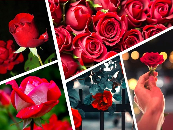 मासिक धर्म में होने वाले दर्द में आराम 