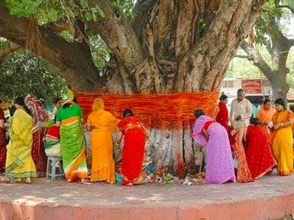 Hindu Rituals: 4. पीपल के पेड़ की पूजा 