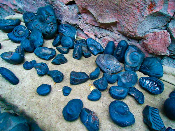 Shaligram Stone: शालिग्राम पत्थर सिर्फ नेपाल में ही क्यों मिलते हैं ?