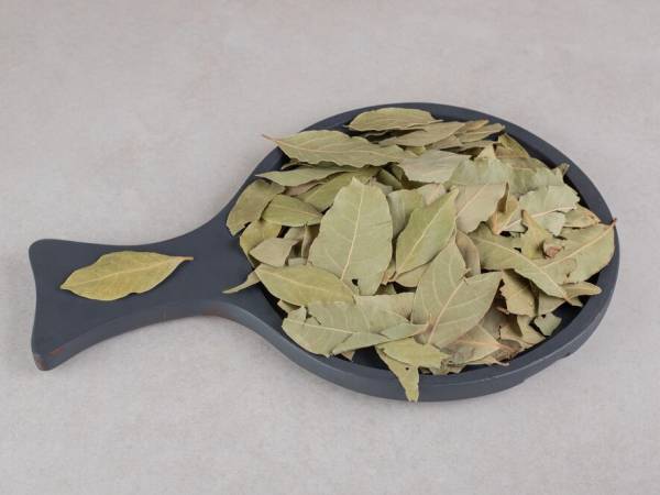 4. करी पत्ता और नारियल का तेल